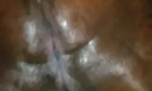 મોટા ગર્દભ અને કાળા  ...