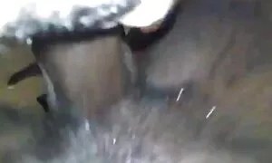 ઇબોની રાણી મારા ડિક  ...